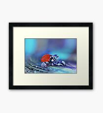 Warm-up Framed Print