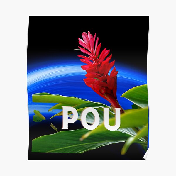 "Pou famous Samoan Polynesian name Pago Pago American Samoa" Poster for