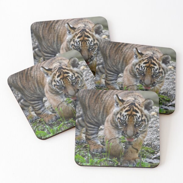 Item preview, Tongue Out Tiger Cub designed and sold by richardbryce.