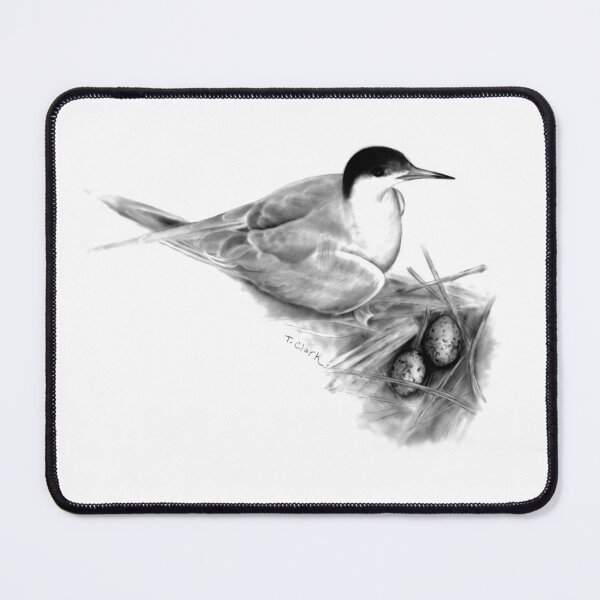 Item preview, Common Tern (Sterna hirundo) designed and sold by Tamara Clark.