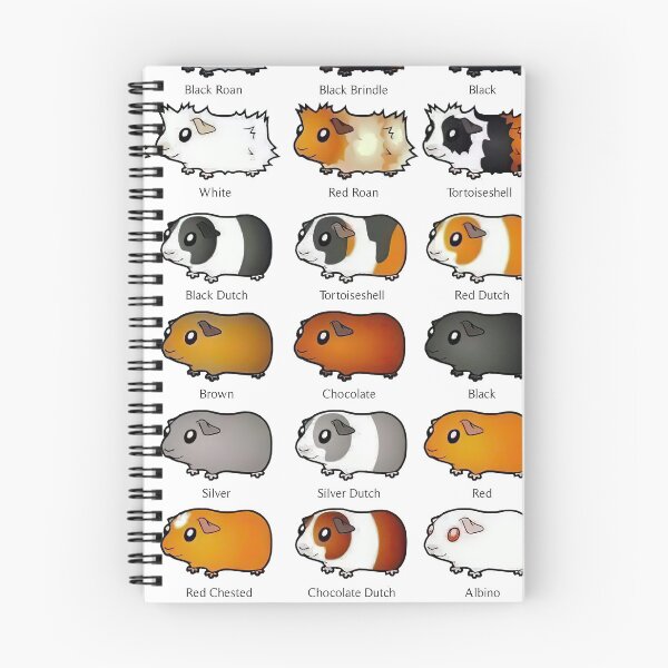 Item preview, Different Types Of Guinea Pigs  designed and sold by WillaldShop.