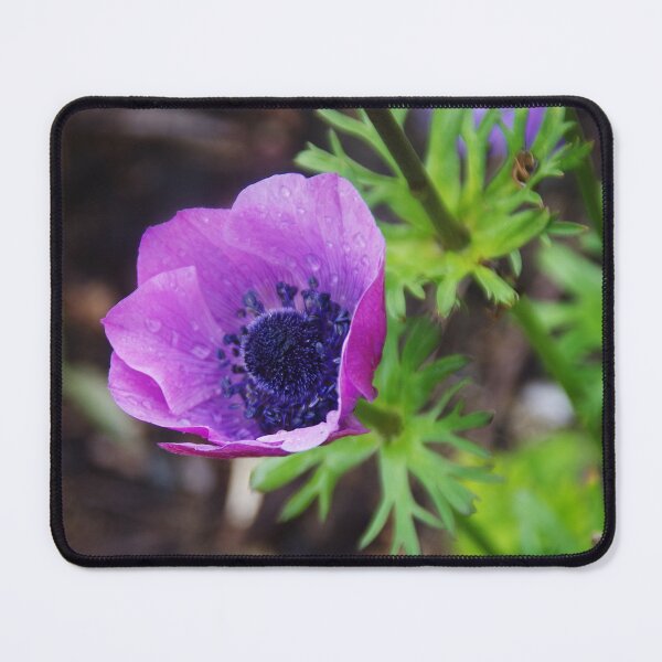 Item preview, Anemone With Raindrops designed and sold by lezvee.