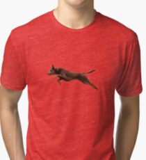 Kelpie Leaping Tri-blend T-Shirt