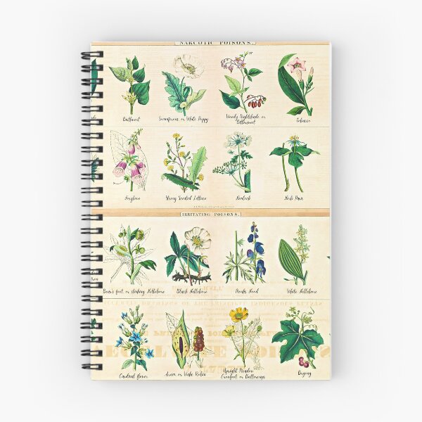 Item preview, Poisonous Plants Chart - 1843 designed and sold by RPGHaven.