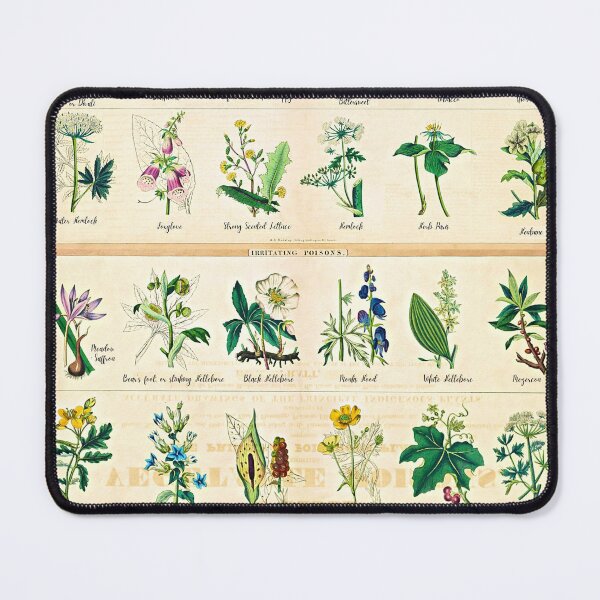 Item preview, Poisonous Plants Chart - 1843 designed and sold by RPGHaven.