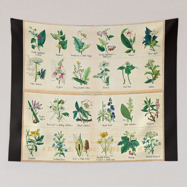 Item preview, Poisonous Plants Chart - 1843 designed and sold by RPGHaven.