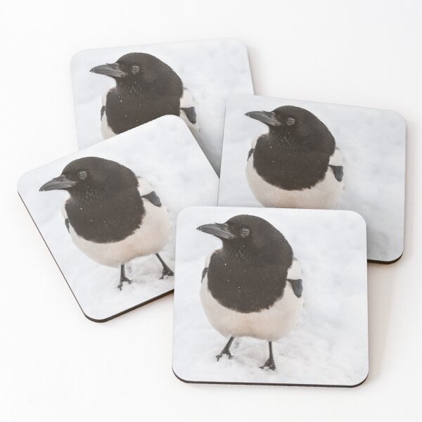 Item preview, Magpie in the snow designed and sold by Ingo Gerlach.