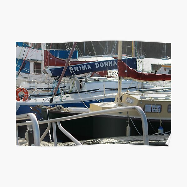 Prima Donna Boat Poster