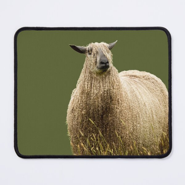 Item preview, Wensleydale Sheep Placement Print designed and sold by Jane Stanley Photography.