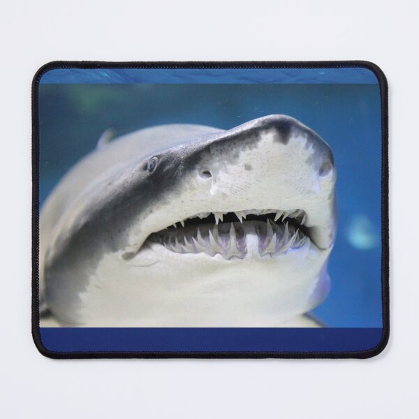 Item preview, Huge Blue Sea Shark designed and sold by Hinny8.