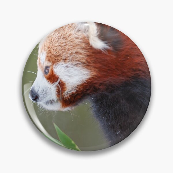 Item preview, Little panda designed and sold by Ingo Gerlach.