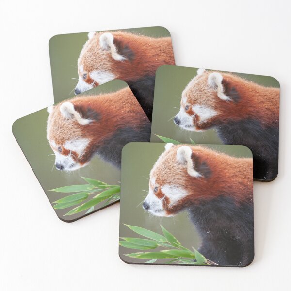 Item preview, Little panda designed and sold by Ingo Gerlach.