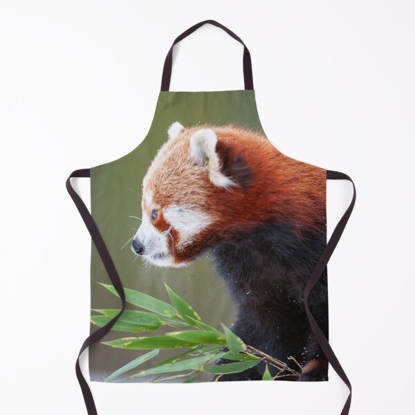 Item preview, Little panda designed and sold by Ingo Gerlach.
