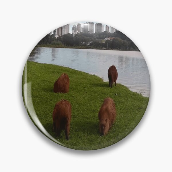Item preview, Curitiba capivaras designed and sold by Art Store Stickers.