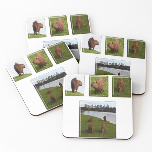 Item preview, Curitiba capivaras designed and sold by Art Store Stickers.