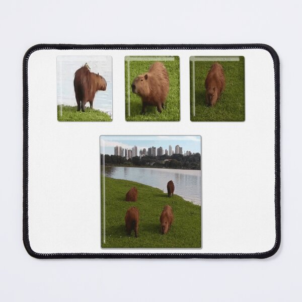 Item preview, Curitiba capivaras designed and sold by Art Store Stickers.