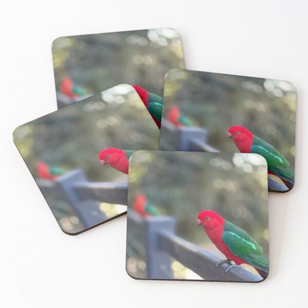 Item preview, Friendly male king parrot at the Bunya Mountains  designed and sold by C-L-Cs.