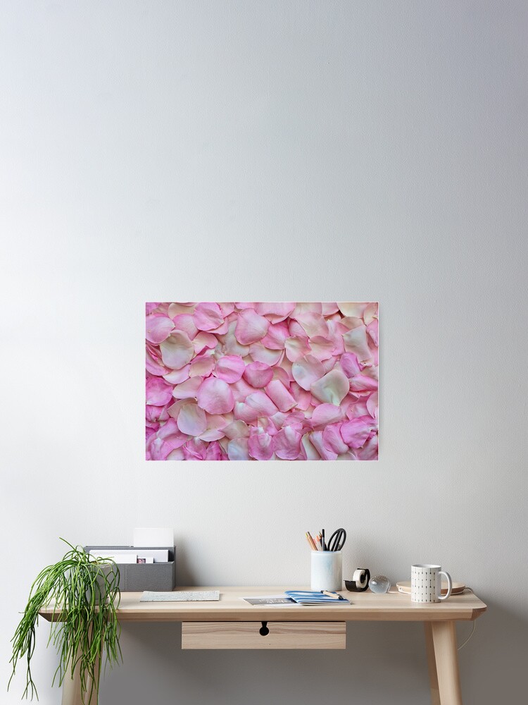 Thumbnail 2 of 3, Poster, Pink roses designed and sold by Xefa10.