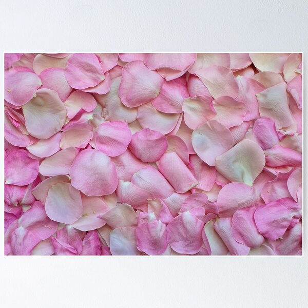 Item preview, Pink roses designed and sold by Xefa10.
