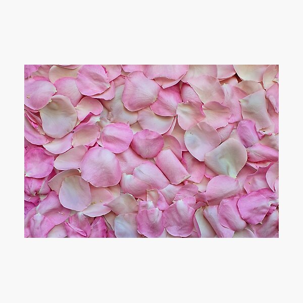 Aperçu de l'œuvre Roses roses créée et vendue par Xefa10.
