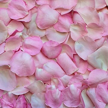 Artwork thumbnail, Pink roses by Xefa10