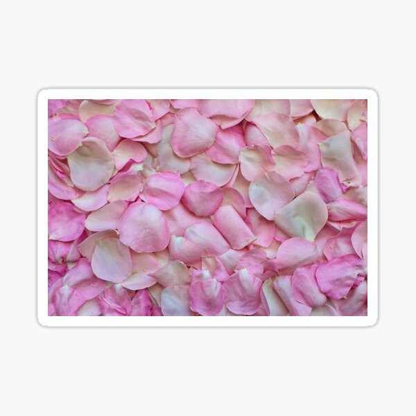Item preview, Pink roses designed and sold by Xefa10.