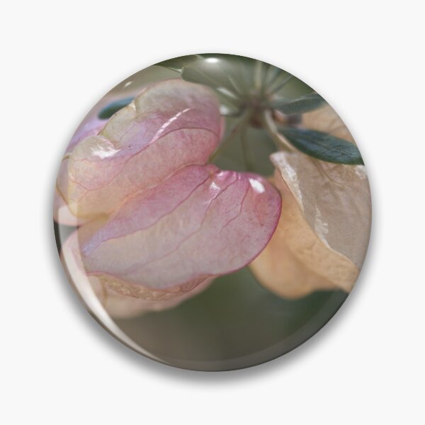 Item preview, Chinese Lantern Flowers designed and sold by imaginethis.
