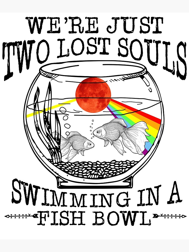Pink Floyd We'Re Just Two Lost Souls Swimming In A Fish Bowl