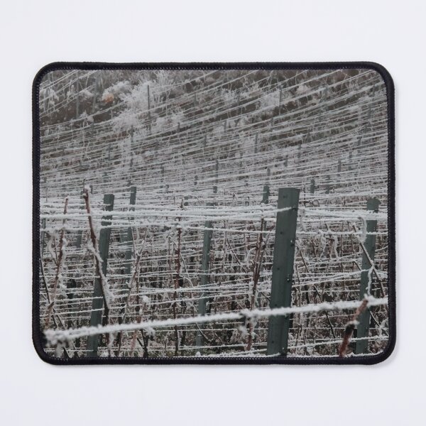 Item preview, Close up of Frost Covered Vineyard  designed and sold by MartinxMarie.