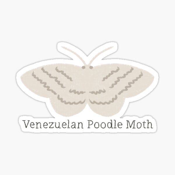 Fluffy Poodle Moth Sticker / Fluffy Moth Sticker / Cute Moth Sticker /  Vinyl Sticker / Water Bottle Sticker 