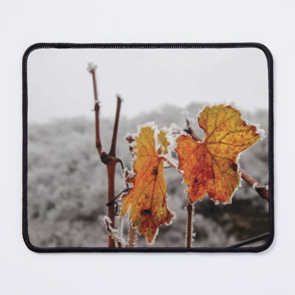 Item preview, Frost Covered Grape Leaf in Moselle Vineyards designed and sold by MartinxMarie.