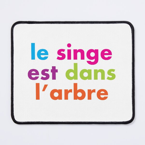 Item preview, LE SINGE EST DANS L'ARBRE - 1980s 'O' Level French Lessons designed and sold by Clifford Hayes.