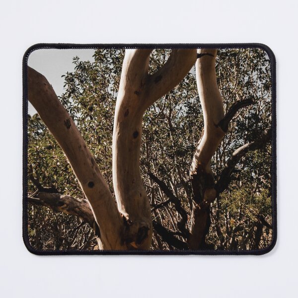 Item preview, The Ever-Winding Tree designed and sold by ZMorrisDesigns.