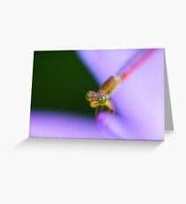 Green eyes Greeting Card