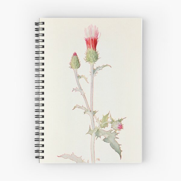 Item preview, Arizona thistle - Botanical Illustration designed and sold by chimakingthings.