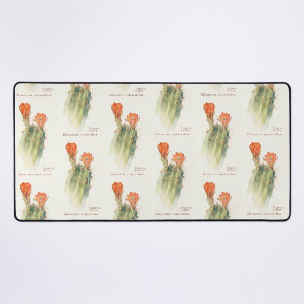 Item preview, Scarlet hedgehog cactus - Botanical Illustration designed and sold by chimakingthings.