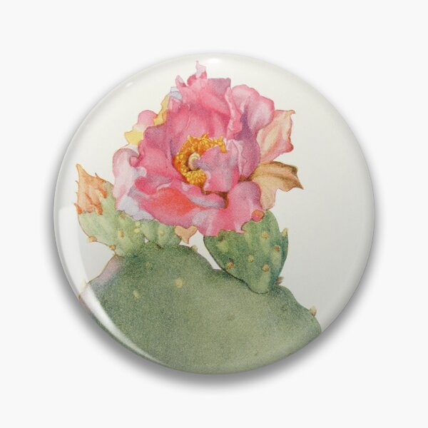 Item preview, Beavertail cactus - Botanical Illustration designed and sold by chimakingthings.