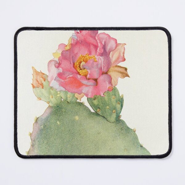 Item preview, Beavertail cactus - Botanical Illustration designed and sold by chimakingthings.