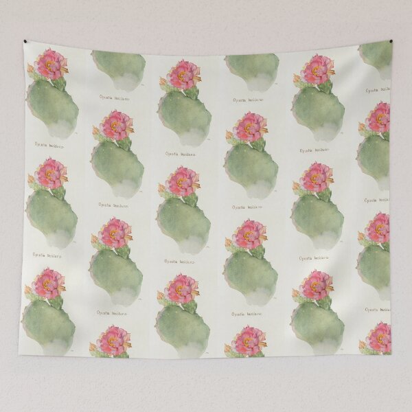 Item preview, Beavertail cactus - Botanical Illustration designed and sold by chimakingthings.