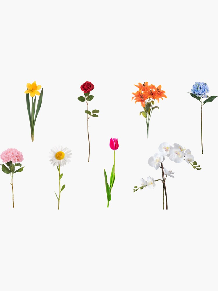 "Build Your Own Flower Bouquet" Sticker for Sale by charlo19 Redbubble