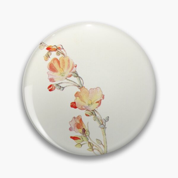 Item preview, Munro's Globemallow - Botanical Illustration designed and sold by chimakingthings.