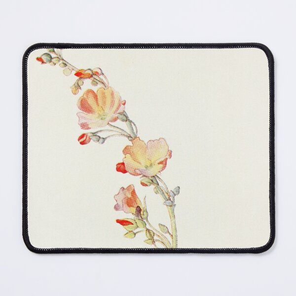 Item preview, Munro's Globemallow - Botanical Illustration designed and sold by chimakingthings.
