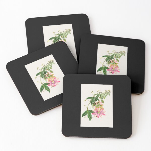 Item preview, Passiflora pinnatistipula - Botanical Illustration designed and sold by chimakingthings.