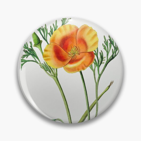 Item preview, California poppy - Botanical Illustration designed and sold by chimakingthings.