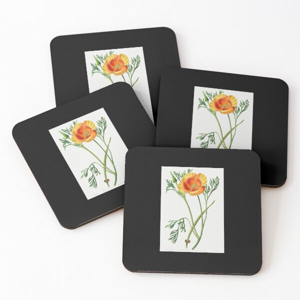 Item preview, California poppy - Botanical Illustration designed and sold by chimakingthings.