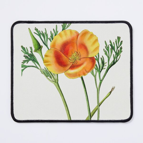 Item preview, California poppy - Botanical Illustration designed and sold by chimakingthings.