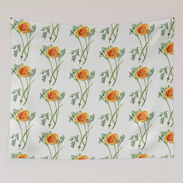 Item preview, California poppy - Botanical Illustration designed and sold by chimakingthings.