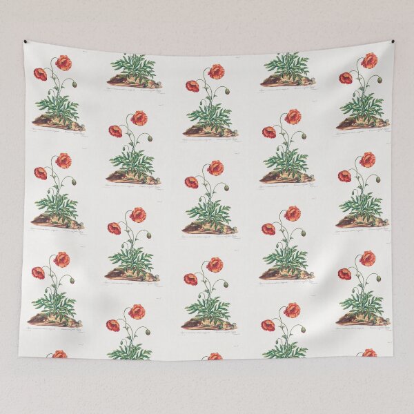 Item preview, Common poppy - Botanical Illustration designed and sold by chimakingthings.