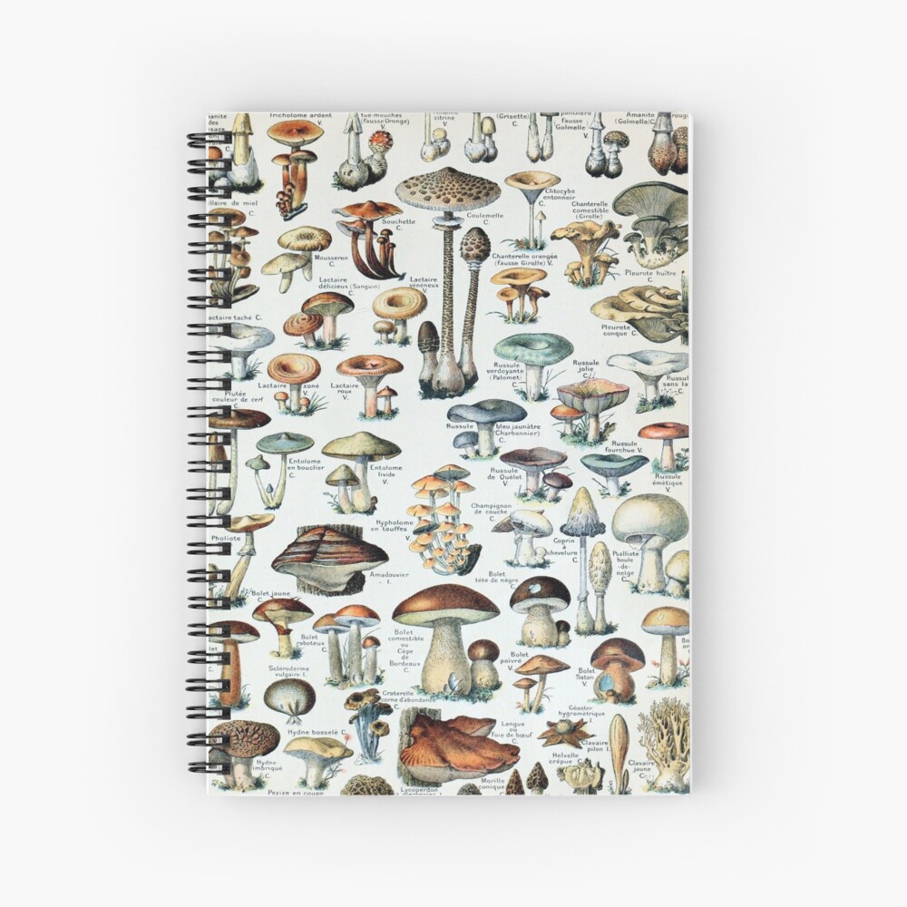 Vintage Edible Mushroom Chart Spiral Notebook