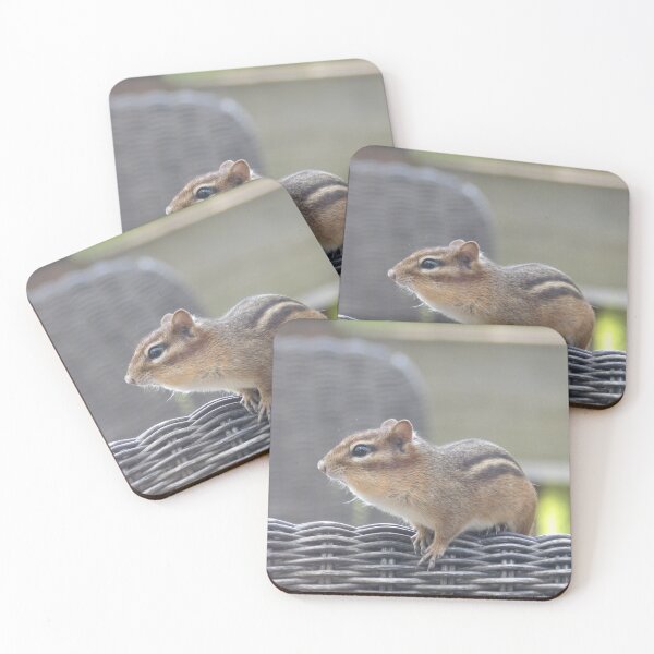 Item preview, Chipmunk designed and sold by Samantha Giordano.